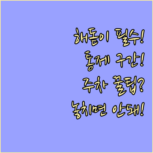 주요 해돋이 명소별 차량 통제 구간과..