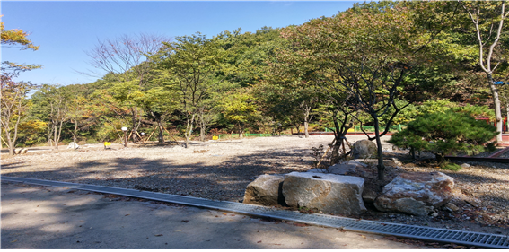 경기-용인-용인랜드-숲속캠핑장-사진-입니다.