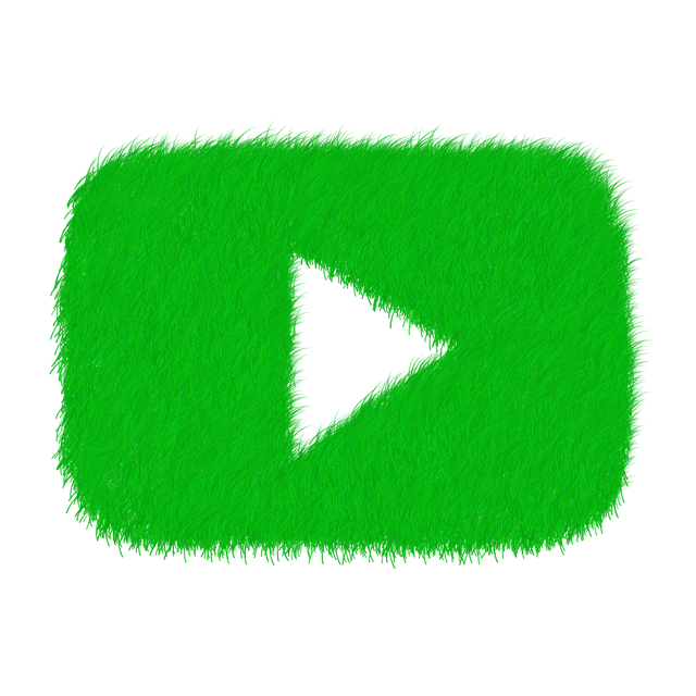 디지털 미니멀리즘 실천법: 유튜브 알고리즘 끊는 실전 팁