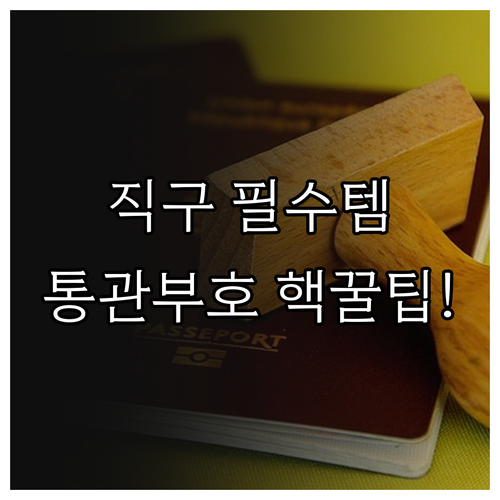 해외 직구 필수템 개인통관고유부호 발..