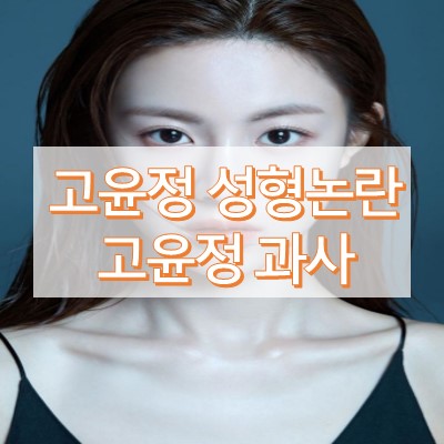 고윤정 성형