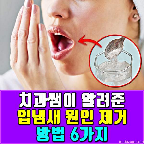 입냄새 원인 제거 방법