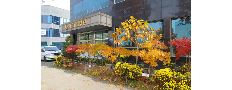 대전 유성구 요양병원