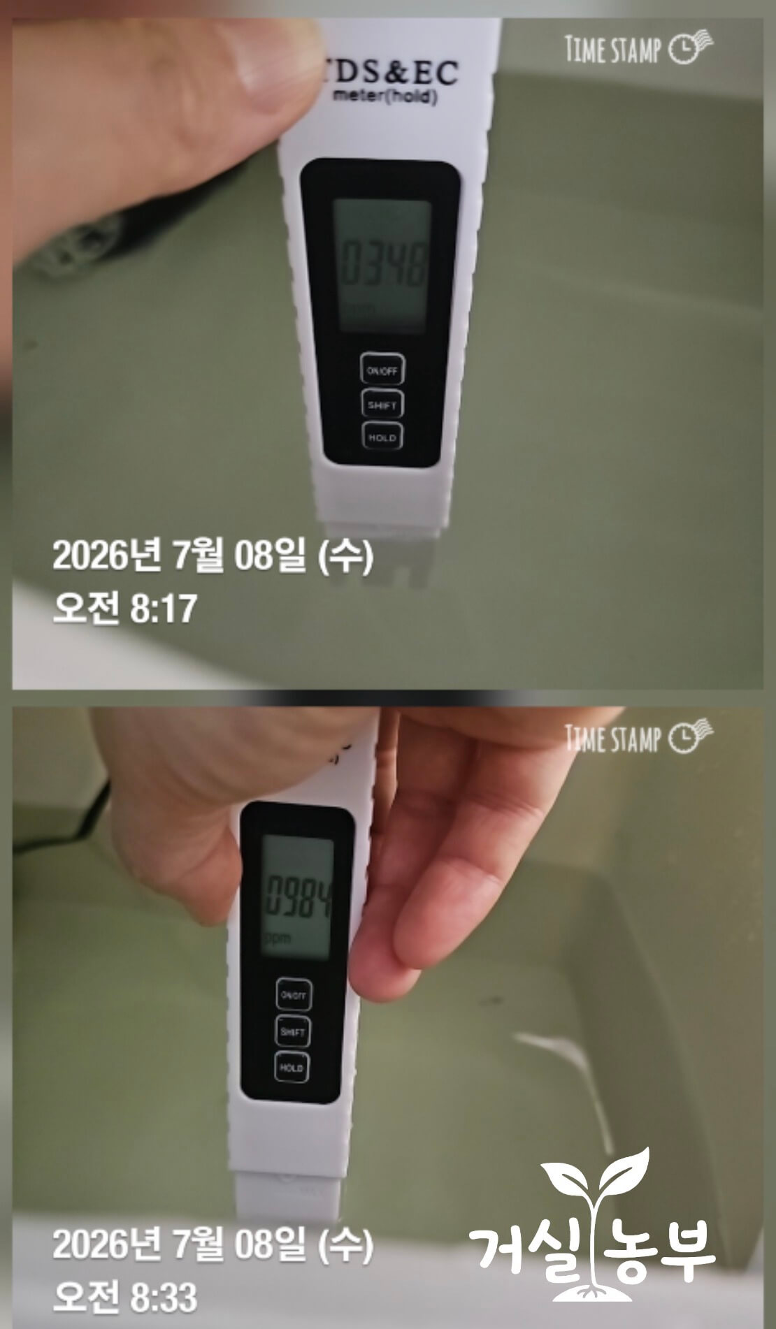 깻잎 수경재배 영양액 TDS 342ppm 측정 결과 & 영양액을 추가한 뒤 987ppm이 표시된 모습