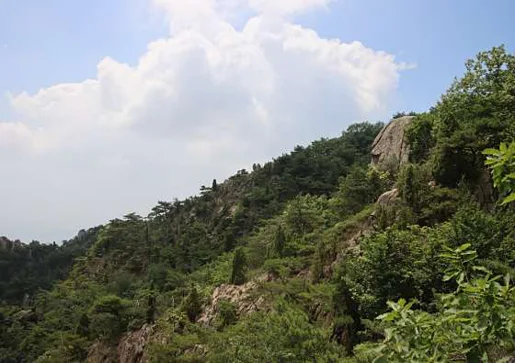 용봉산