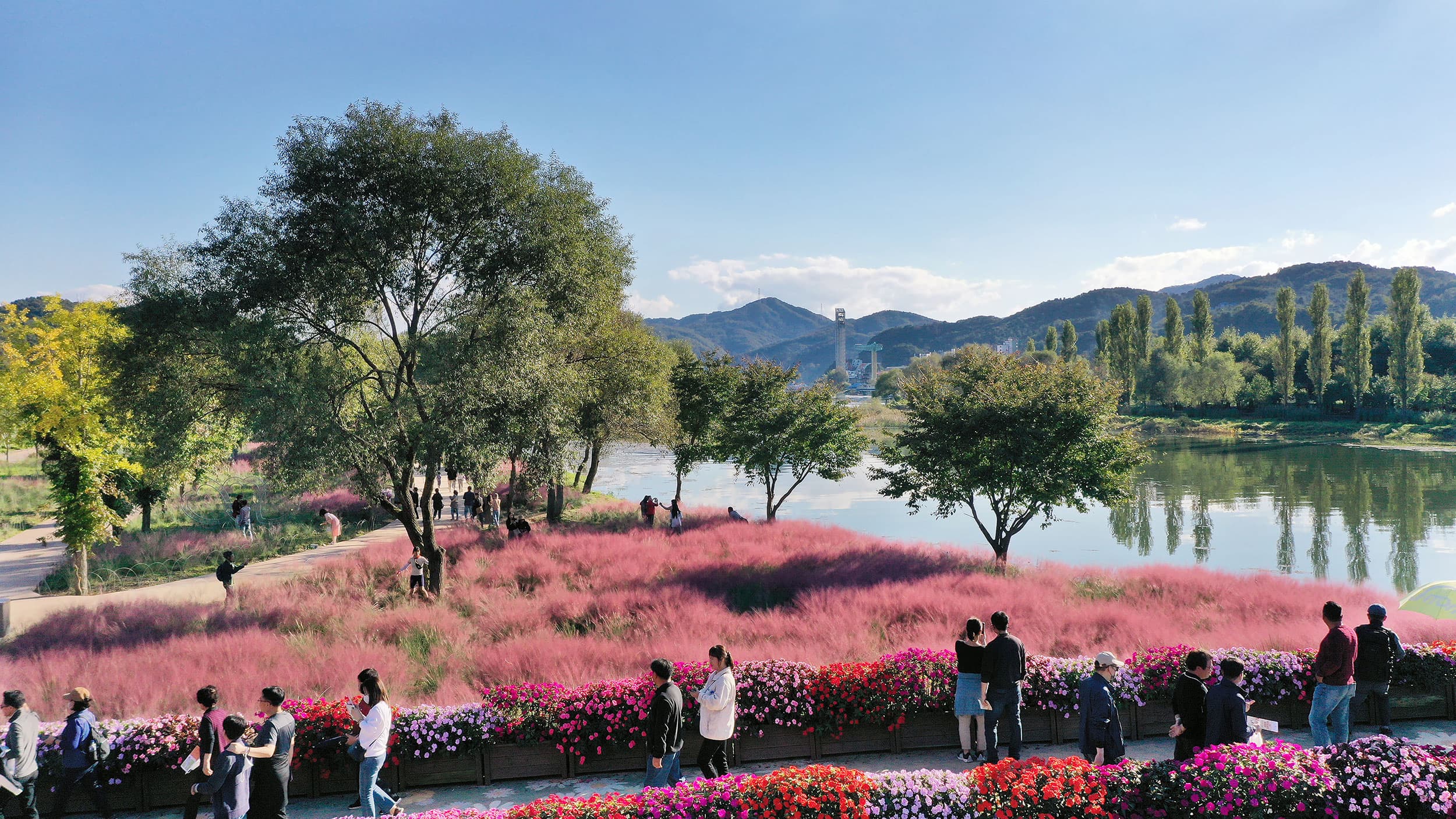 [5월~6월 축제]2025 자라섬 꽃 페스타❘기간, 일정, 체험 및 프로그램, 전기차 운행 안내