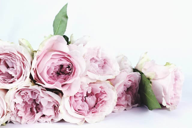 성필립보 생태마을 예약