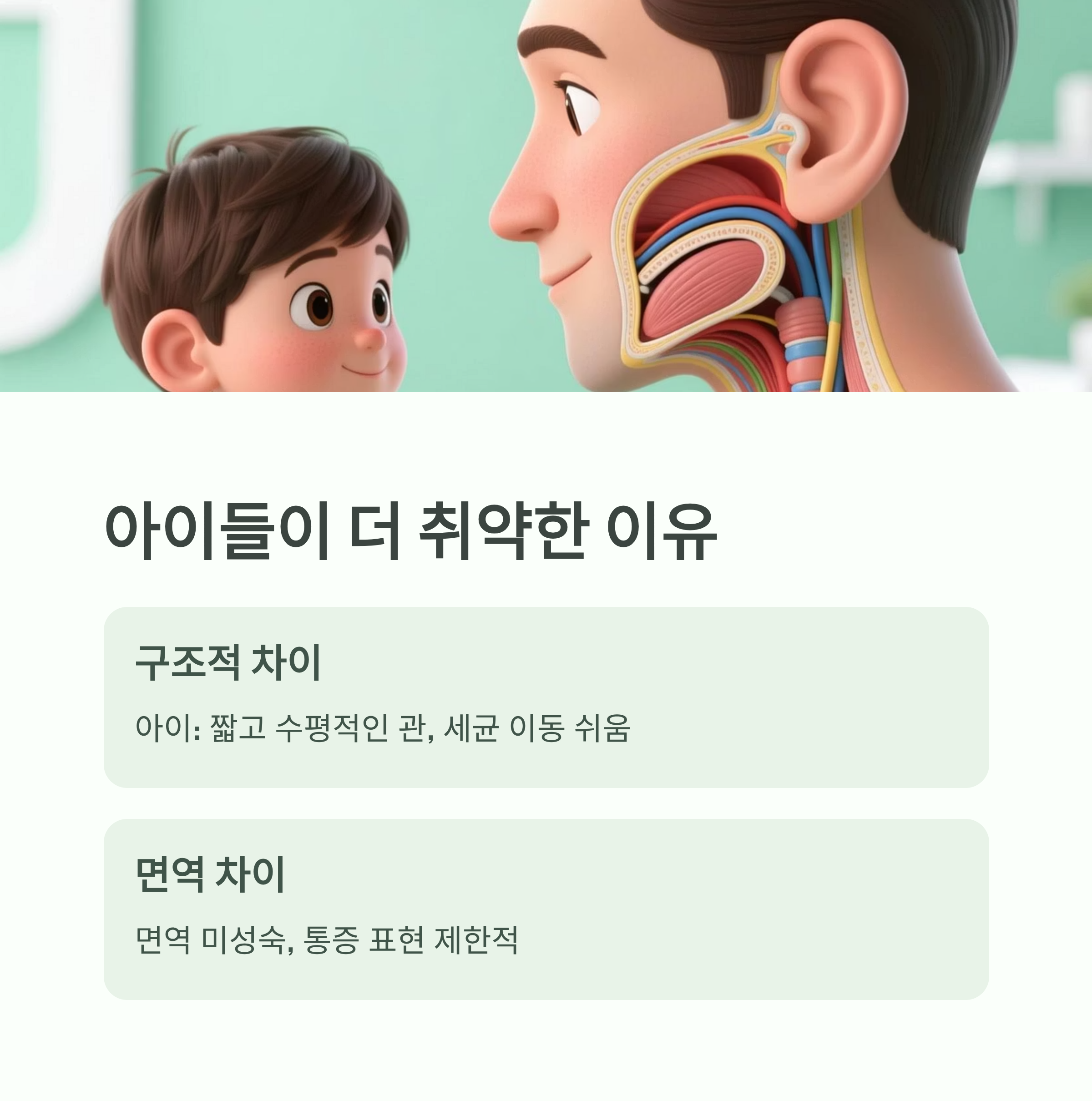 아이와 성인의 귀 구조 비교, 아이들이 중이염에 취약한 이유 설명 인포그래픽