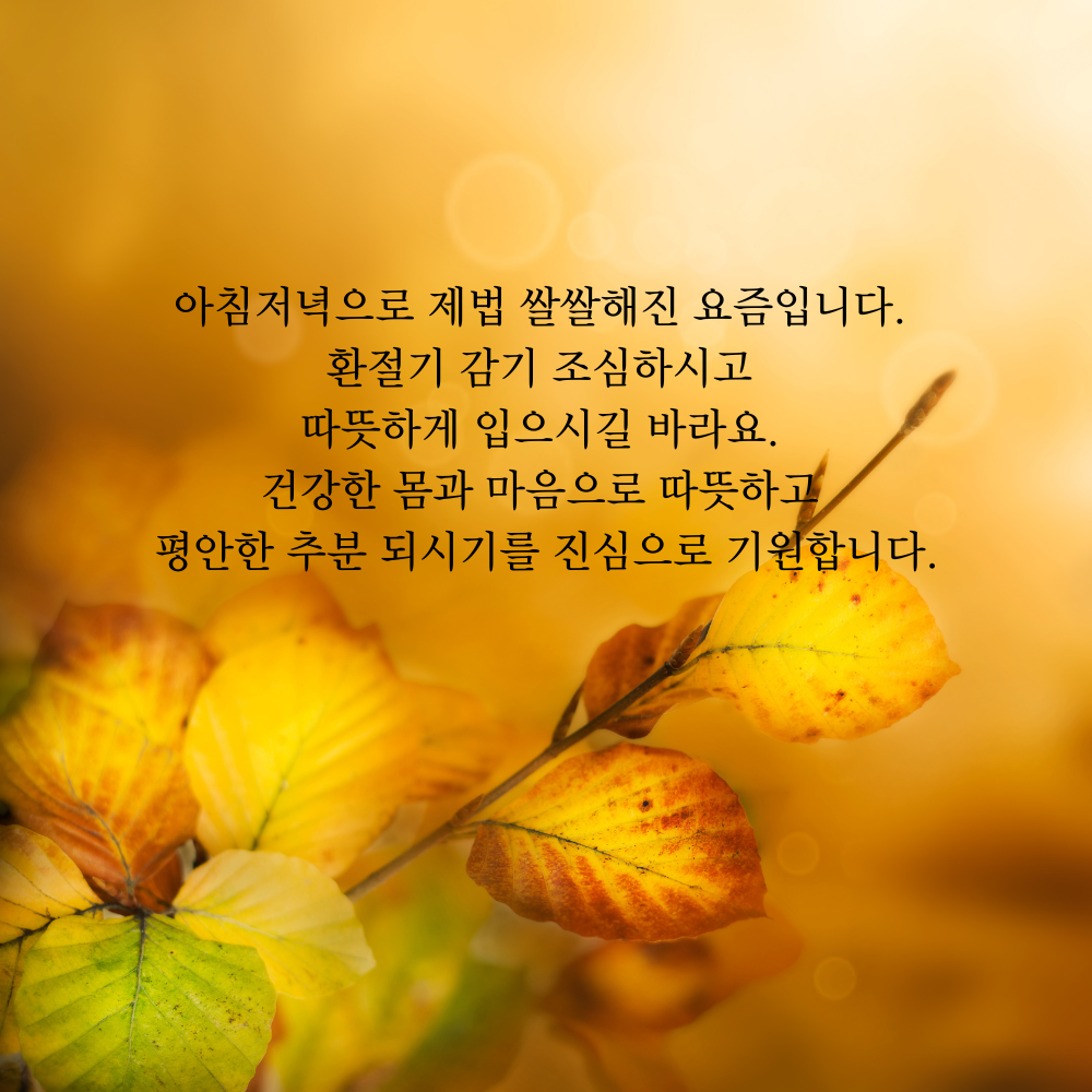 가을 인사말 추분 이미지 문구 모음집