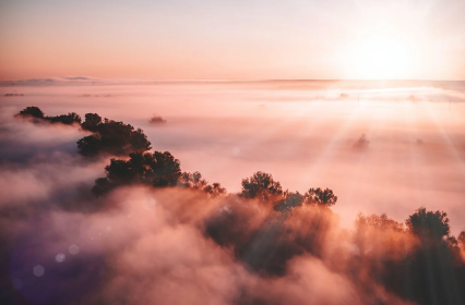 하루를 시작하는 아침 식사의 힘 (심리적, 감정, 삶의 리듬)