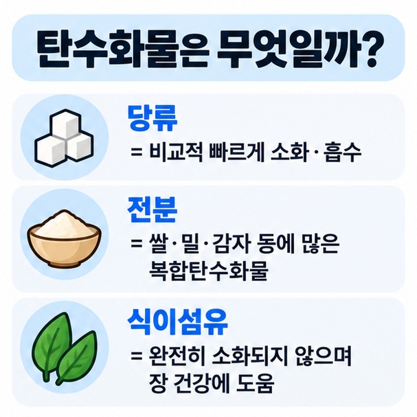 당류 전분 식이섬유가 탄수화물에 포함된다는 구조를 비교한 이미지
