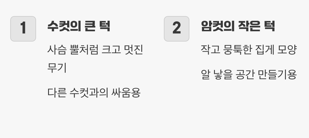 가장 확실한 증거, '큰 턱'의 유무