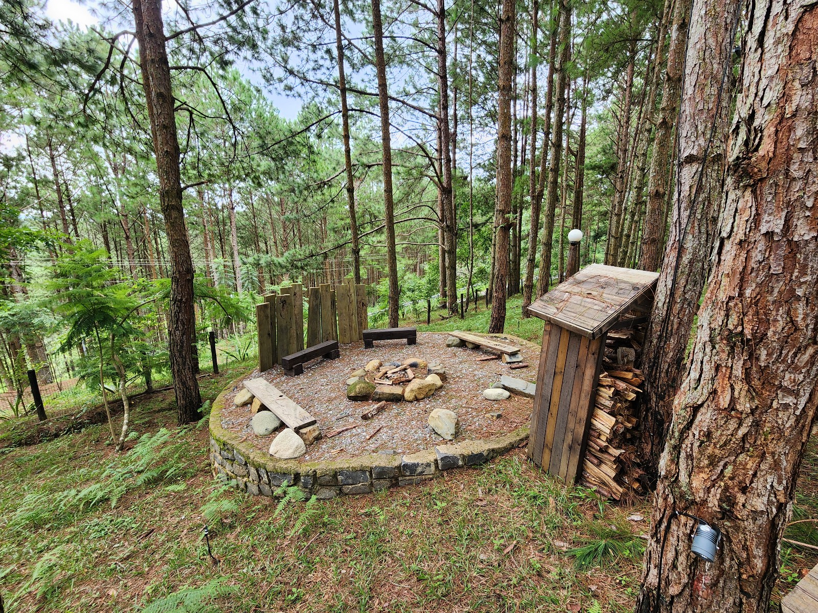 공용 본파이어 장소