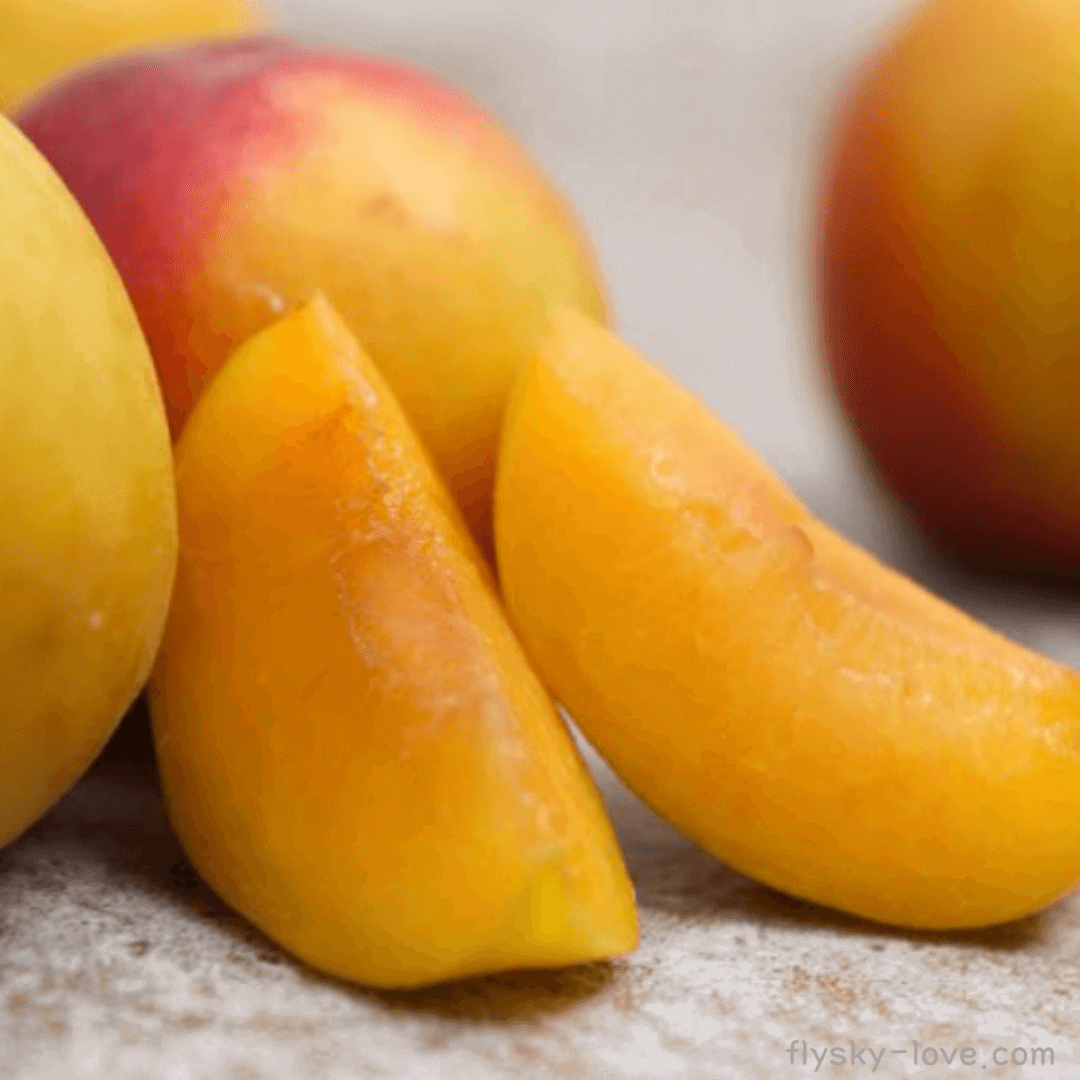 플럼코트 고르는 법