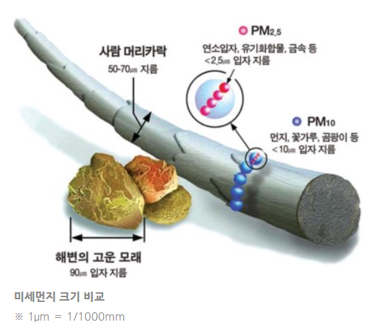 미세먼지