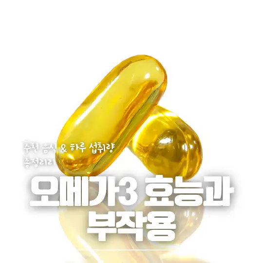 오메가3 효능과 부작용