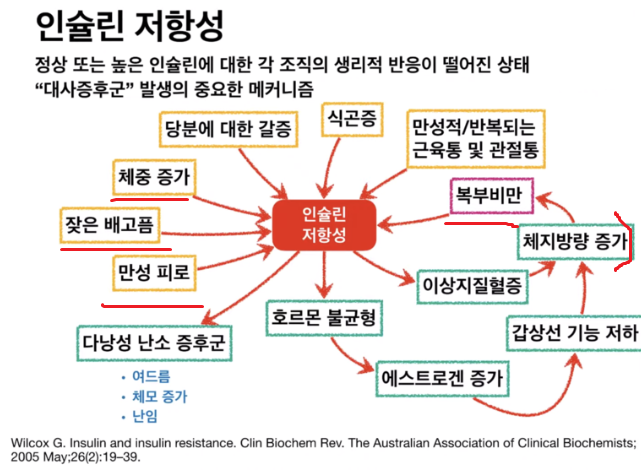 인슐린 저항성의 문제점들