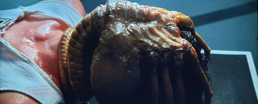 에이리언(1979) 영화 줄거리 (스포일러 포함)