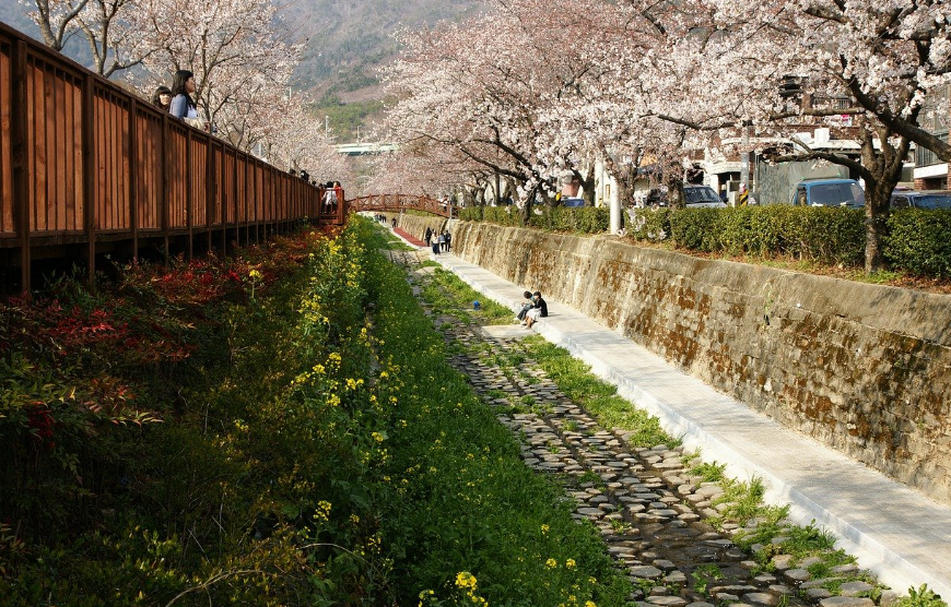 경상도 봄 명소 탐방: 경주, 진해, 통영