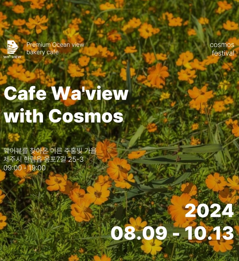 코스모스 축제