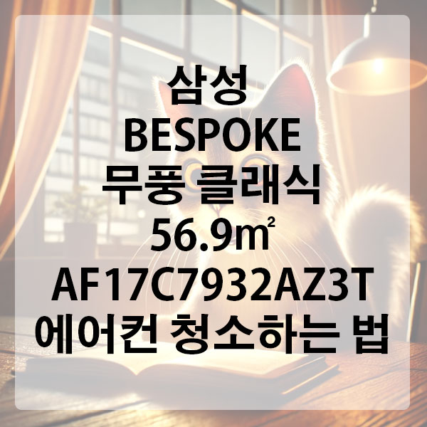 삼성 BESPOKE 무풍 클래식 56.9㎡ AF17C7932AZ3T 에어컨 청소하는 법