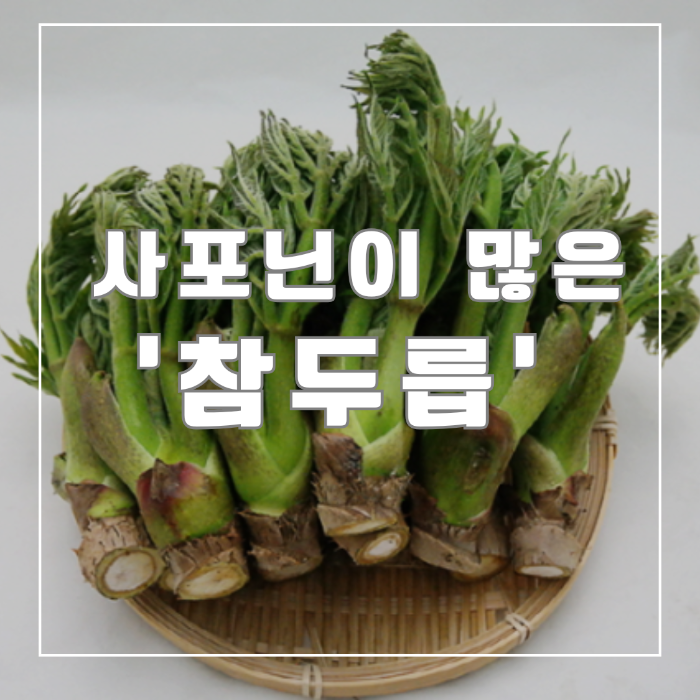 참두릅