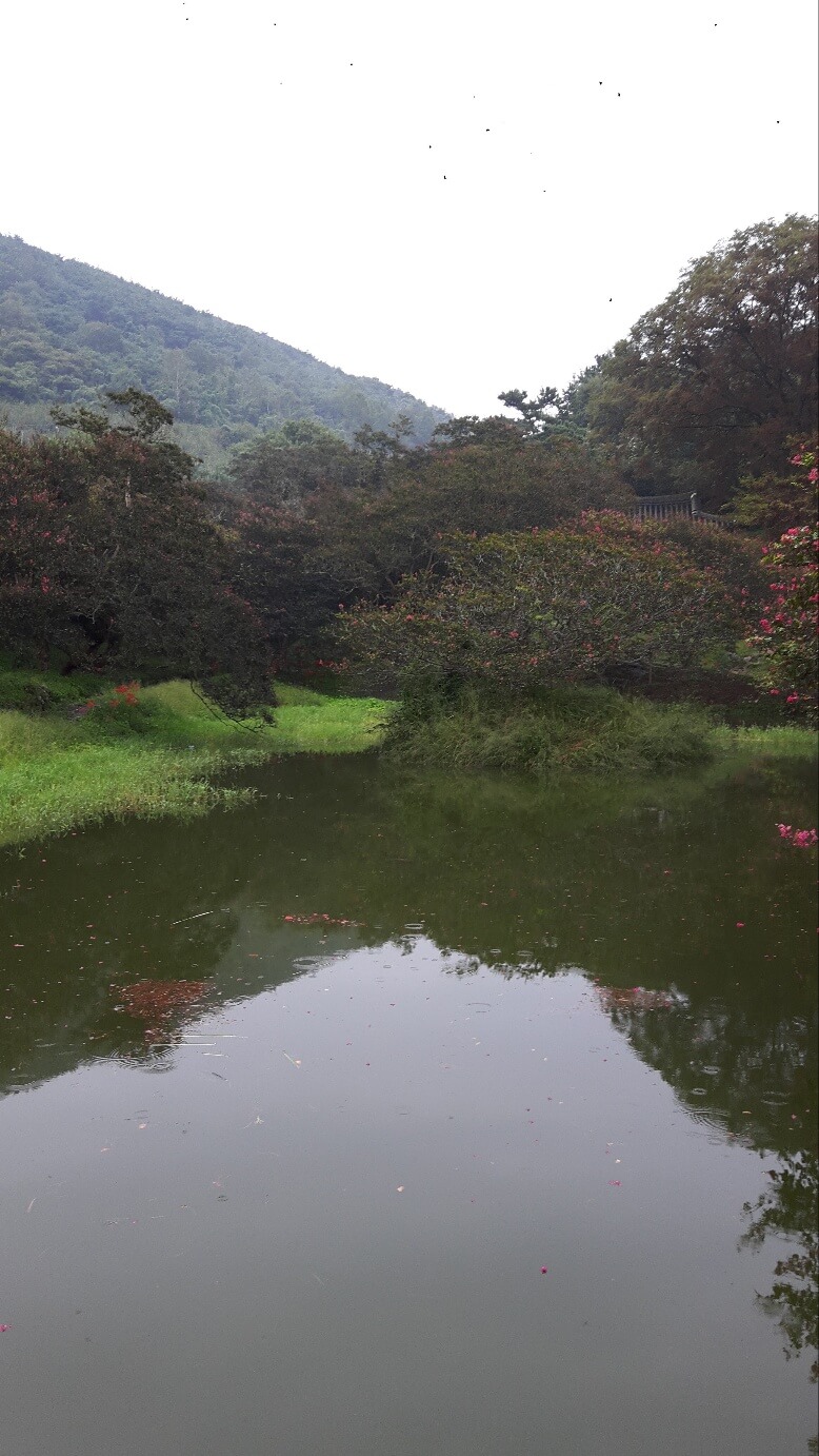 2025 청주시 희망저축계좌 지원금, 지금 신청하세요