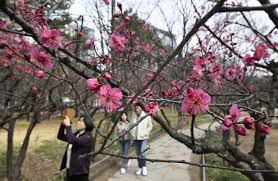 숙박세일페스타