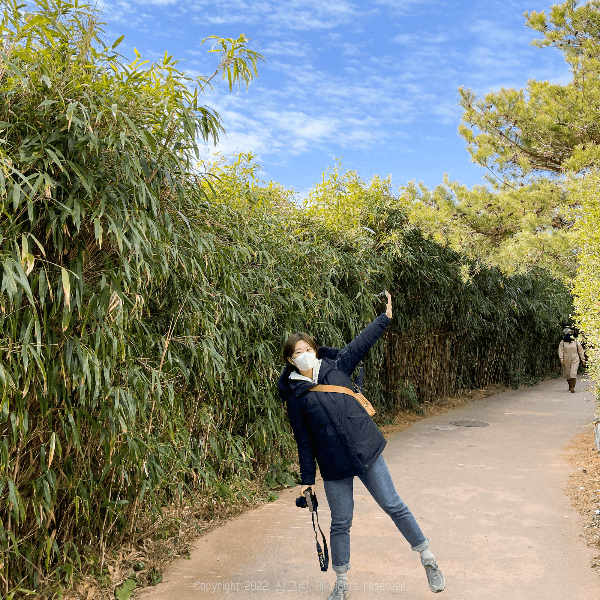 오동도-산책스팟