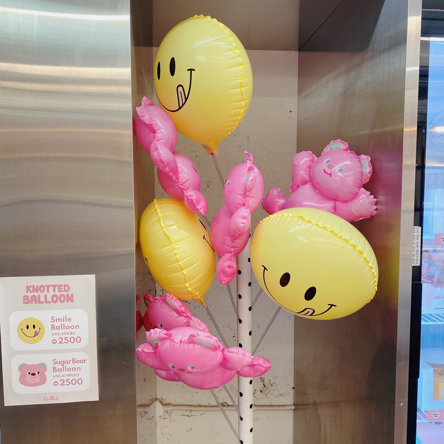 노티드 도넛 제주 애월 핫플레이스 우유크림 도넛 Knotted JEJU