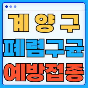 인천 계양구 폐렴구균 백신 무료 예방접종 비용지원 가격 신청방법 대상자 간격 13가 15가 20가 23가