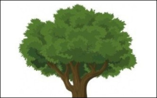 나무가 쓰러지는 꿈