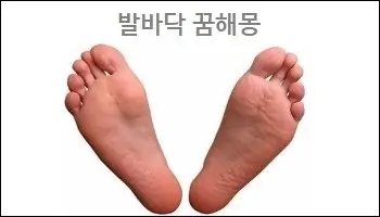 발바닥 꿈해몽