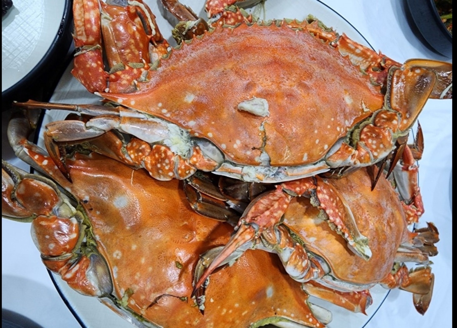 백반기행-진도-송가인-꽃게무침-활꽃게-복성식당