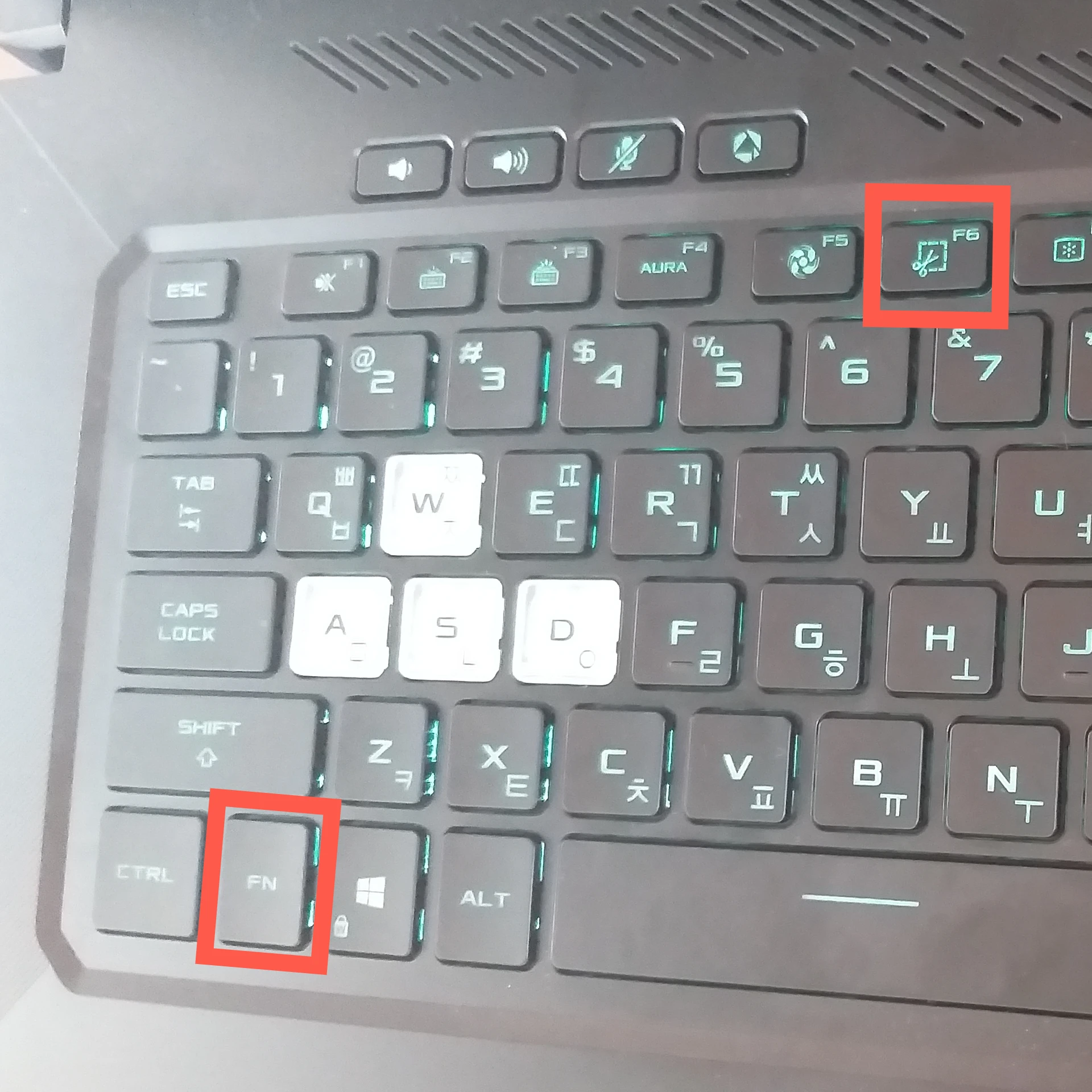 fn + f6
