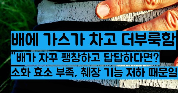 췌장염 증상