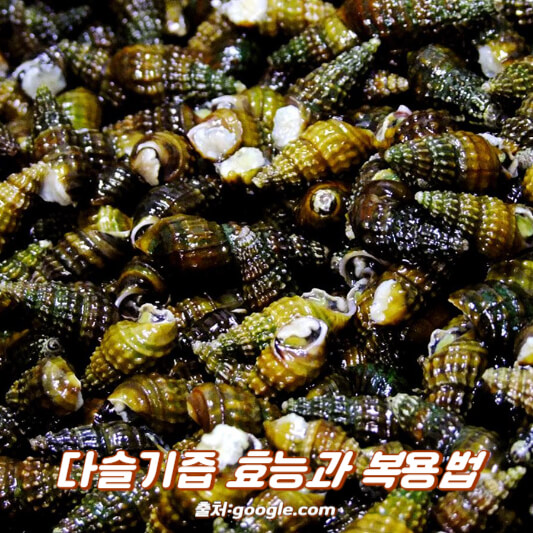 다슬기즙 효능과 복용법