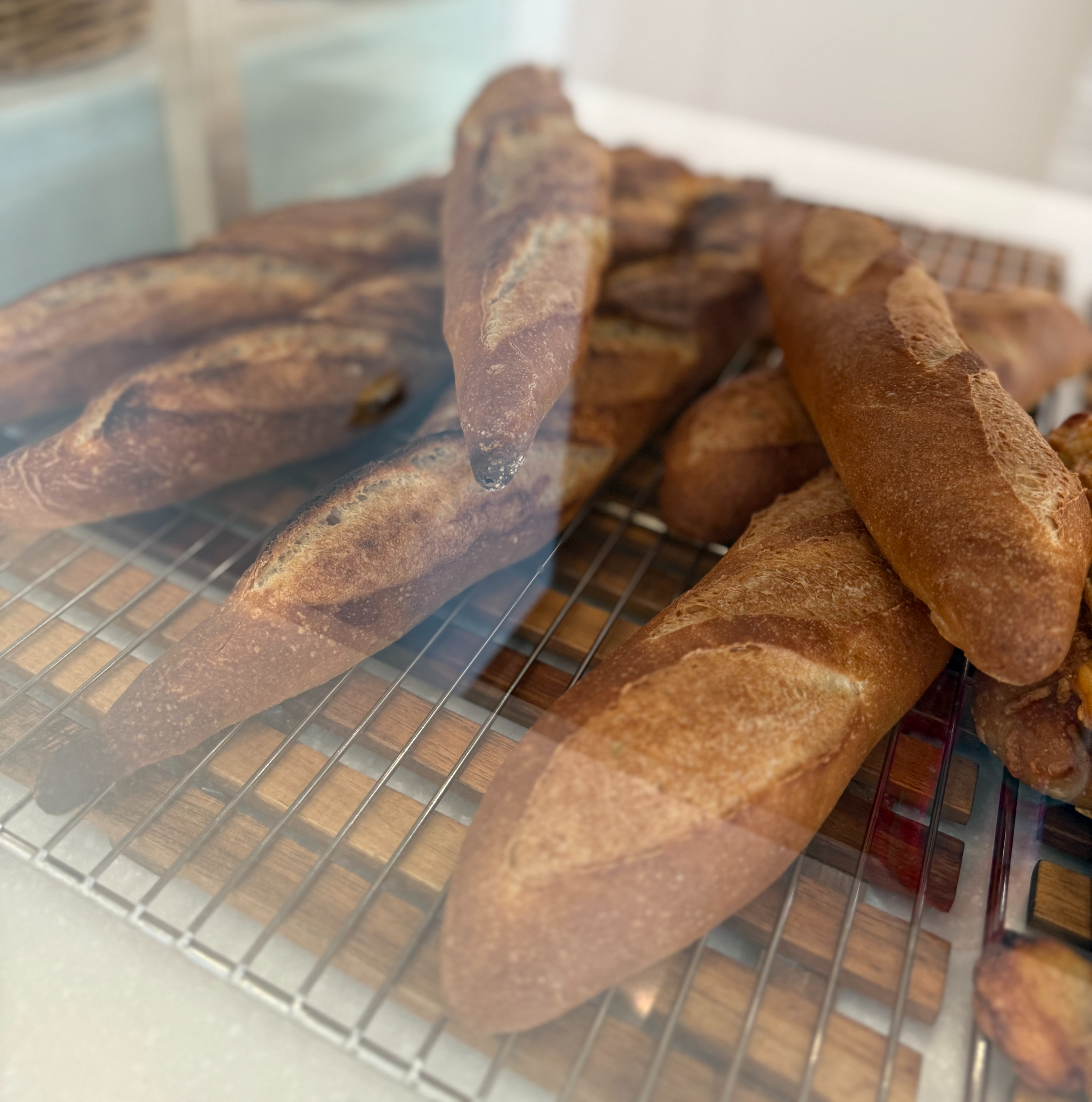 메종 고댕 프랑스 바게트