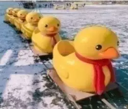 포천 산정호수 썰매축제