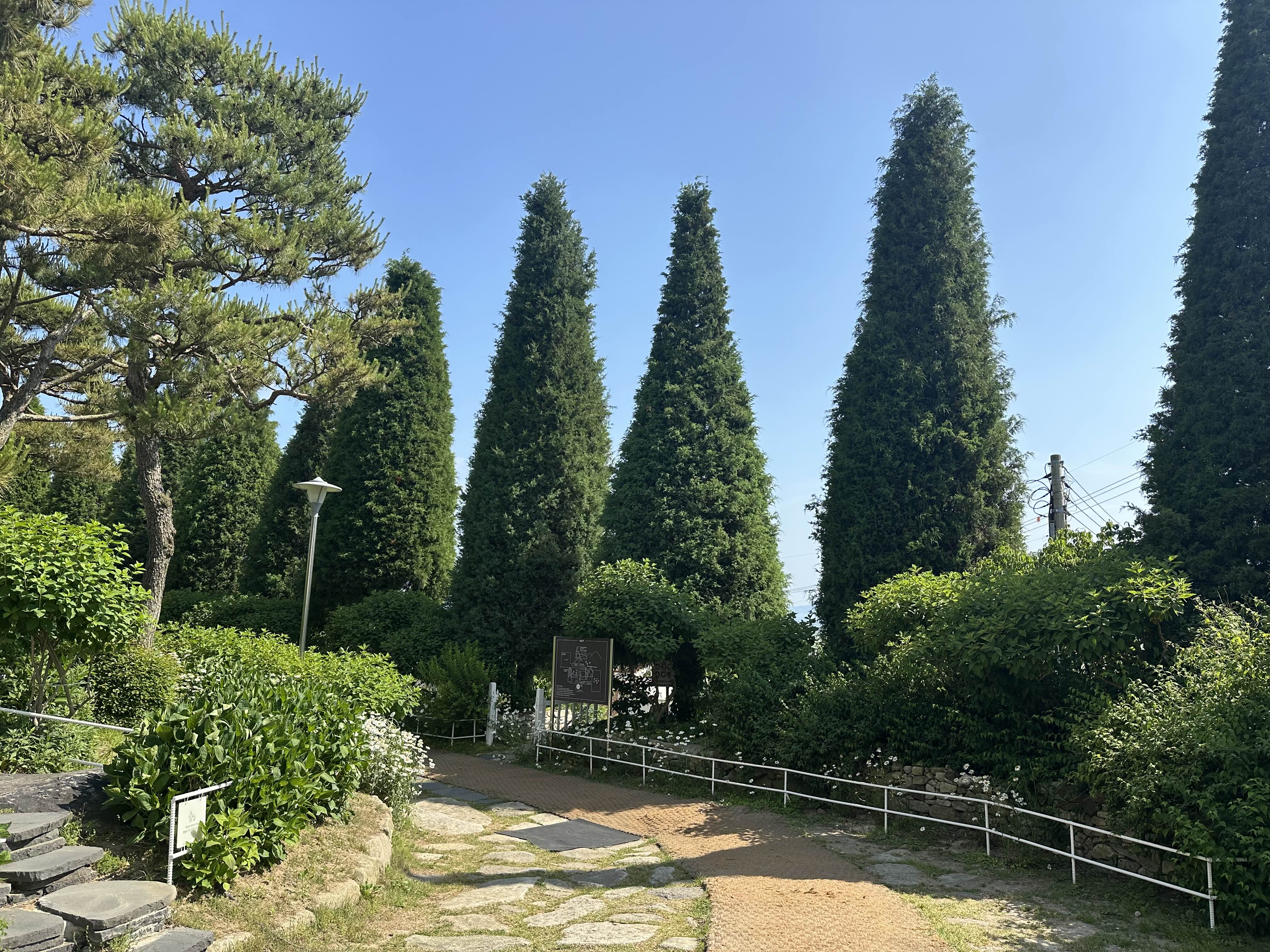 강화-카페-마호가니-강화점-데이지꽃-정원