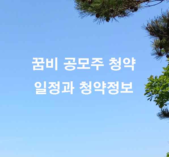 꿈비