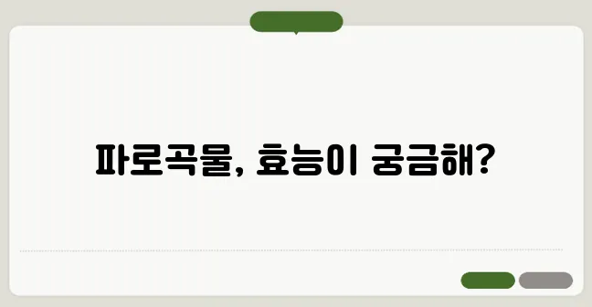 파로곡물이란? 효능과 섭취 방법 총정리