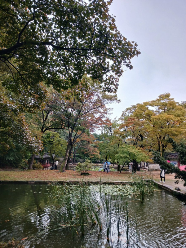 후원 애련지 풍경