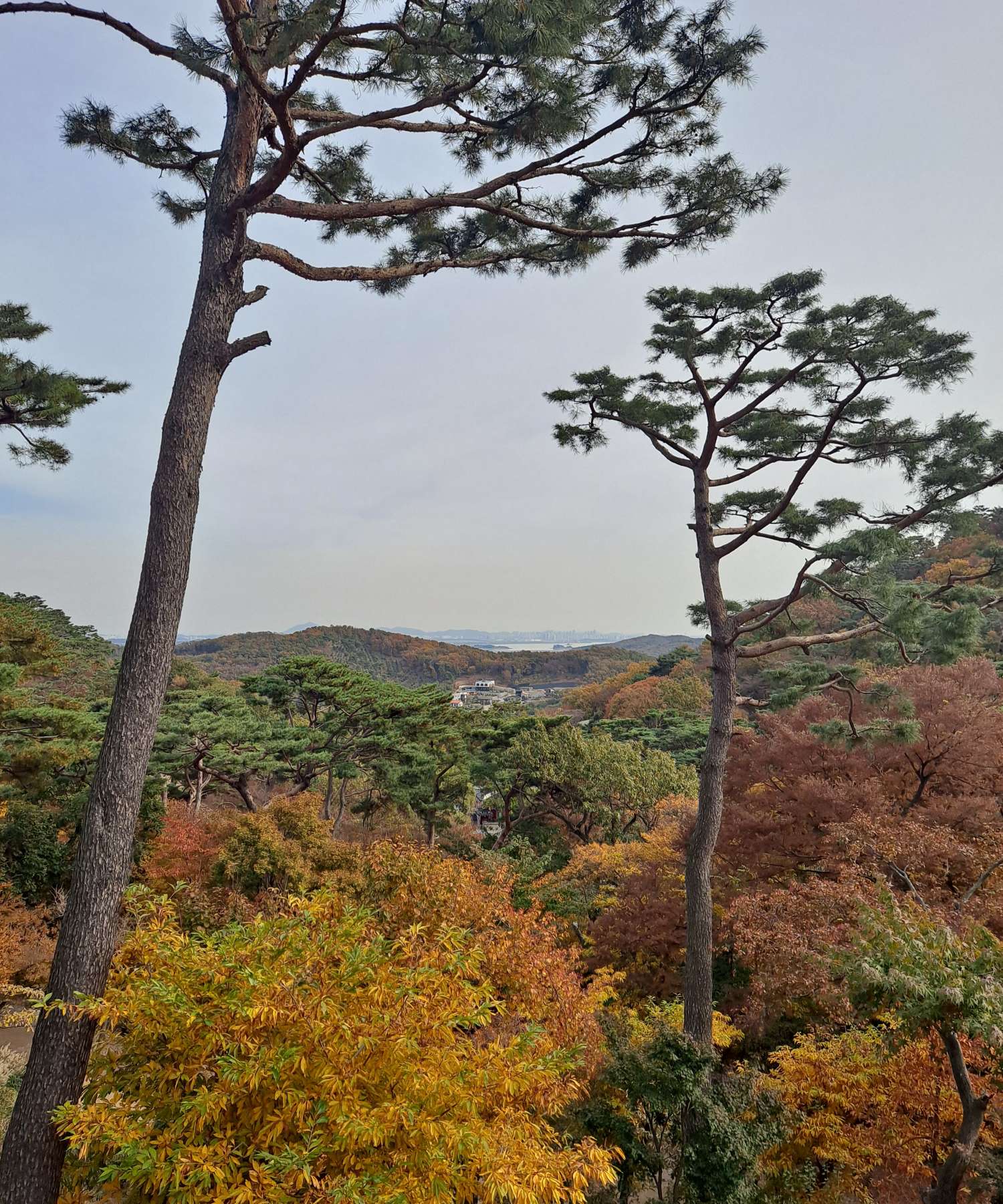 전등사에서 바라본 배경