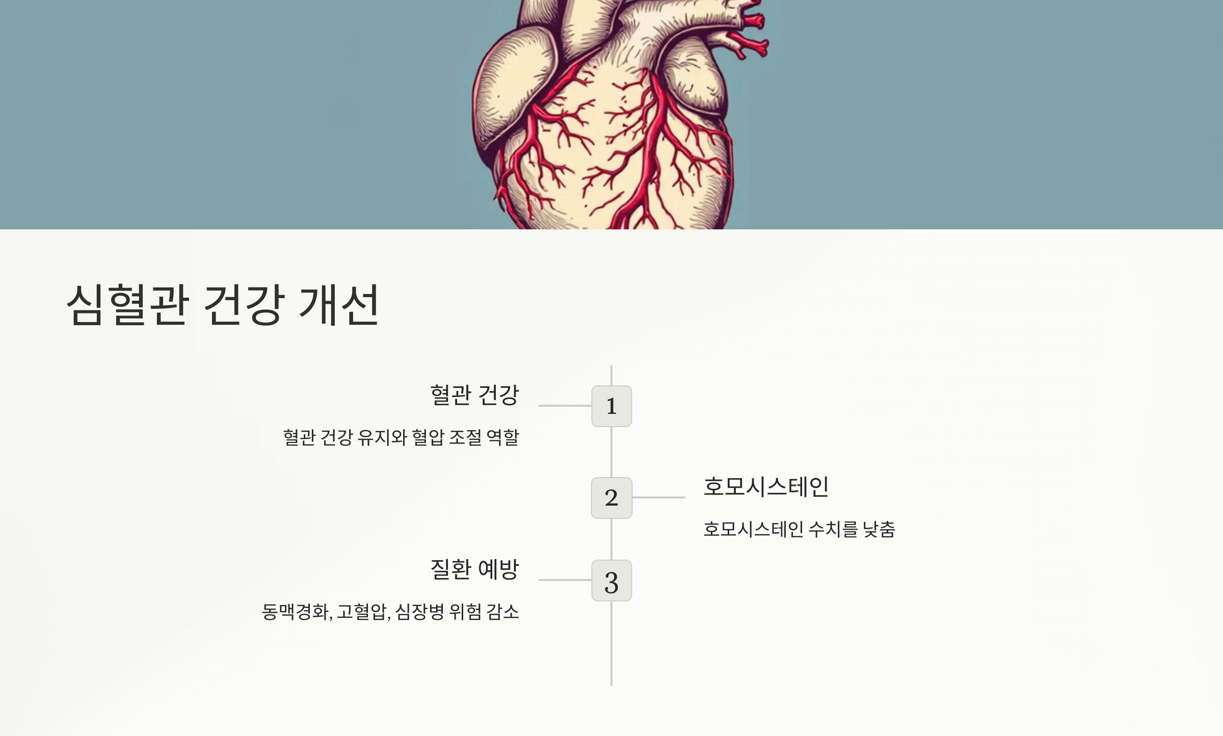 엽산과 관련된 사진입니다.