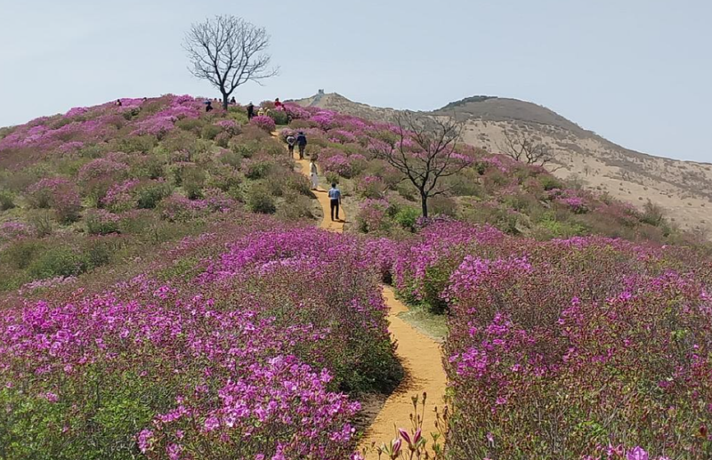 황매산 등산코스