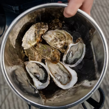 굴 효능 부작용 칼로리