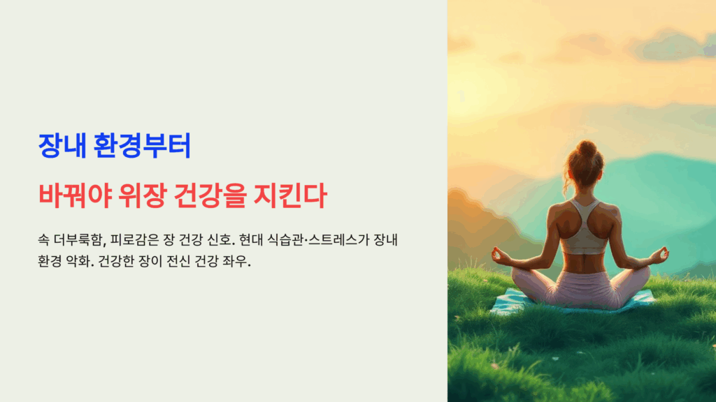 위장 건강을 지키는 4가지 장내 환경부터 바꿔야