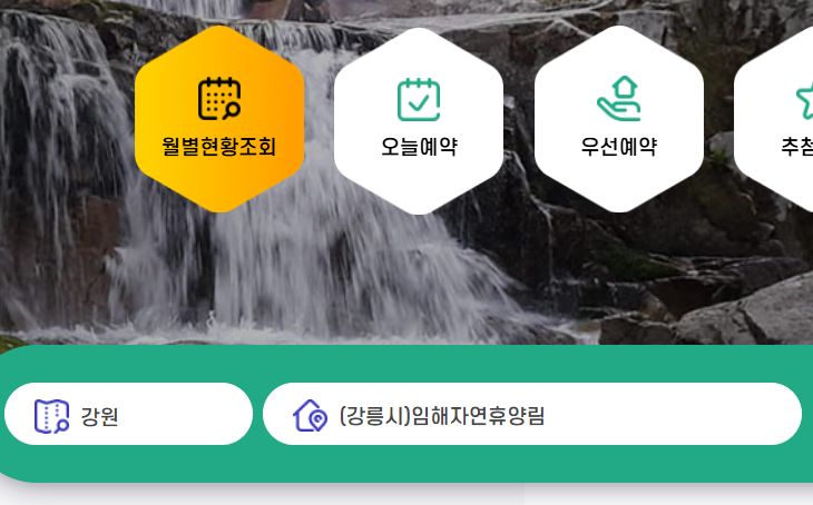 국립자연휴양림 예약 완벽 가이드