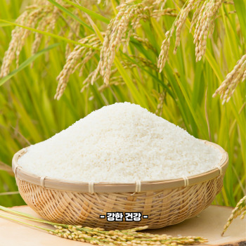 바나듐쌀 하루 섭취량